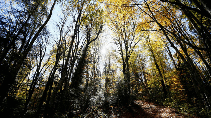 На Кубани до конца года создадут 13 особо охраняемых природных зон регионального значения