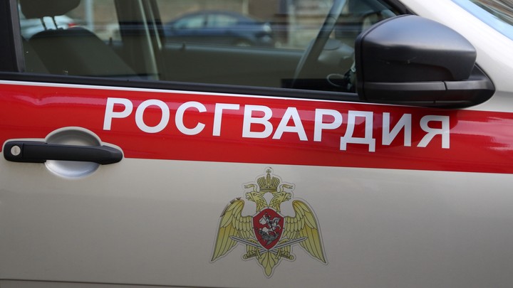 В Магнитогорске 33-летняя женщина устроила резню в гостях