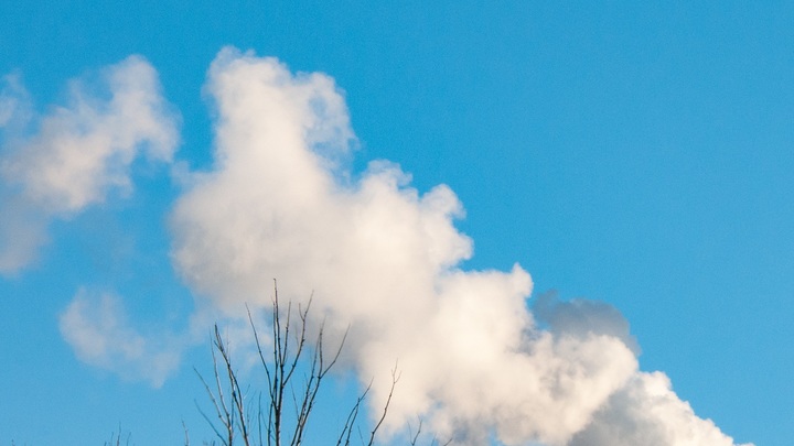 В Краснодаре сообщили о пожаре близ авиаучилища: Жители засняли столб дыма