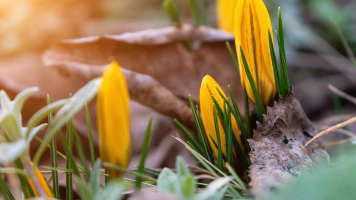 Что строго запрещено делать 4 апреля 2026 на Василия Тёплого и Лазареву субботу