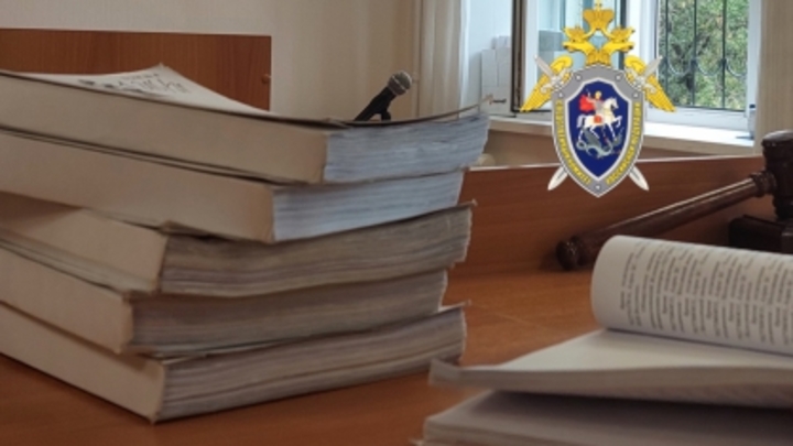 В Самарской области за махинации вынесли приговор экс-директору учреждения образования