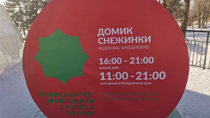 На красно-зеленый бренд для новогоднего Новосибирска потратили 466 тысяч рублей