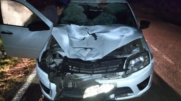 В Кущёвском районе водитель задавил мужчину с 9-летней девочкой, ехавших на велосипеде