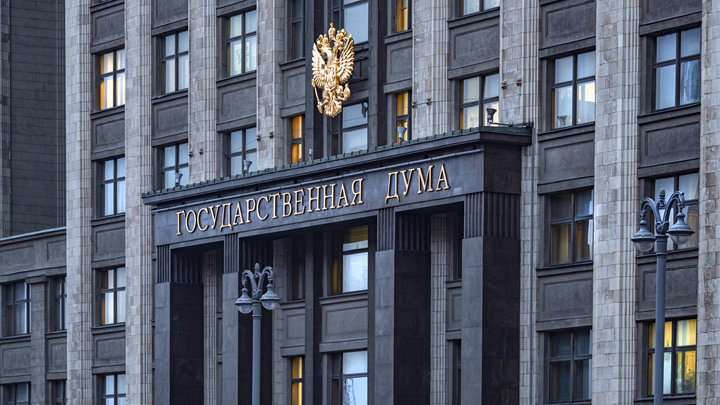 Госдума ужесточила наказание за отпор силовикам на митингах. Ощутимо вырастут штрафы