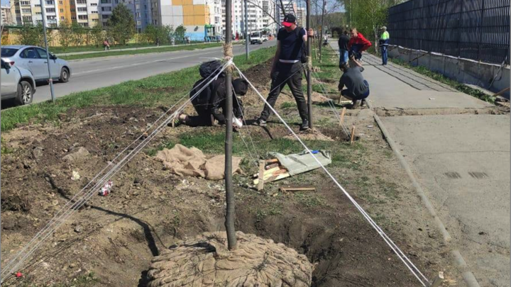 Парковый в Челябинске станет зеленее: здесь высадят около сотни молодых деревьев