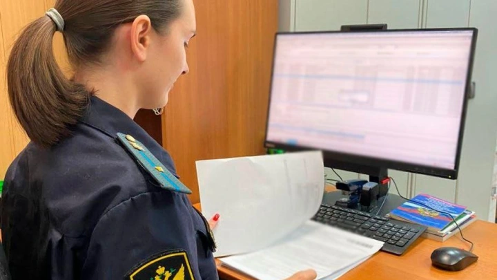 Специалисты рассказали, как узнать о запрете на выезд из России