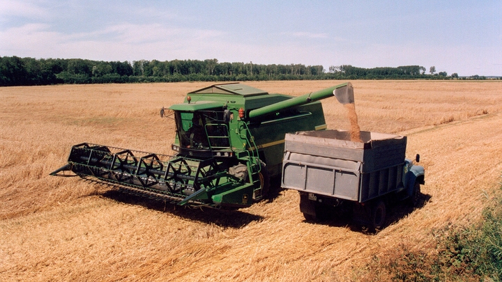 Накормит весь мир? США предсказали России новый рекорд