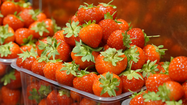 Урожай клубники под угрозой: сильный град выпал на Кубани