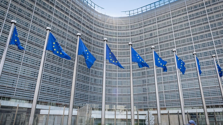 Немцы сдают бутылки, военную технику сгрызли мыши: Правду о Европе раскрыл русский эмигрант