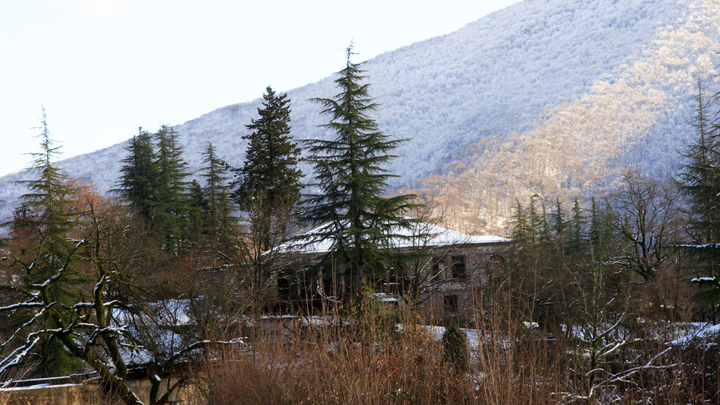 Вооружённые диверсанты в горах: Что дали поиски, сообщили в Абхазии