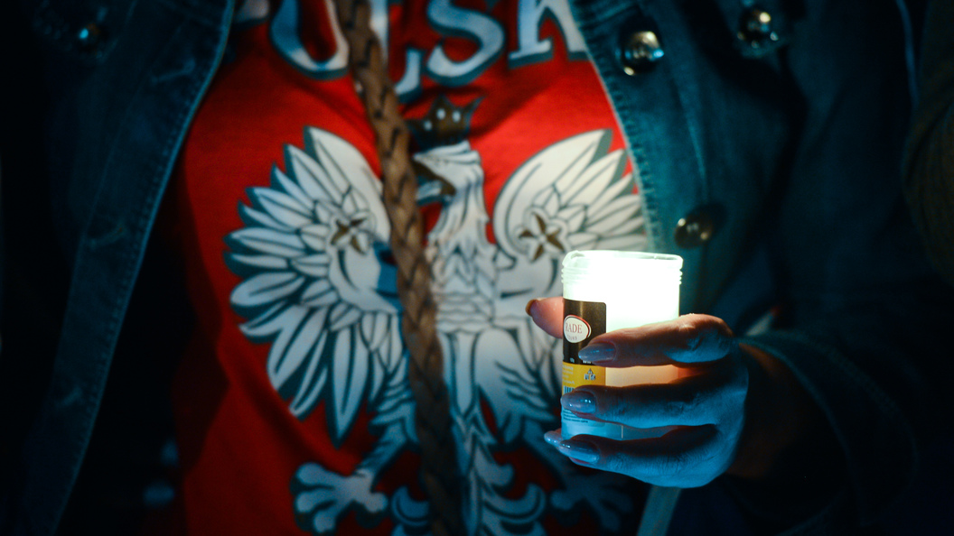 Совет Федерации оценил шансы Польши на получение репараций от Германии Совет Федерации оценил шансы Польши на получение репараций от Германии