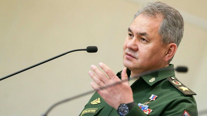 Шойгу доставил в Сирию личное послание Путина - Минобороны России