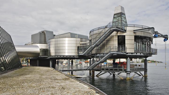 Норвежцев призывают остерегаться русских шпионов