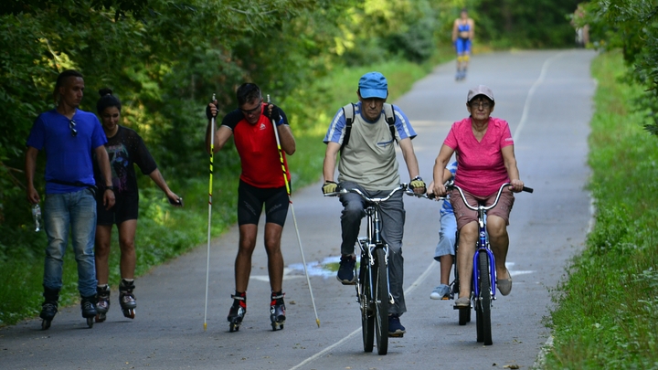 Боевые искусства и танцы в парках: Как пройдёт День физкультурника в Москве