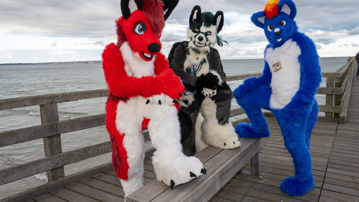 Опасное ответвление субкультуры фурри дошло до Новосибирска