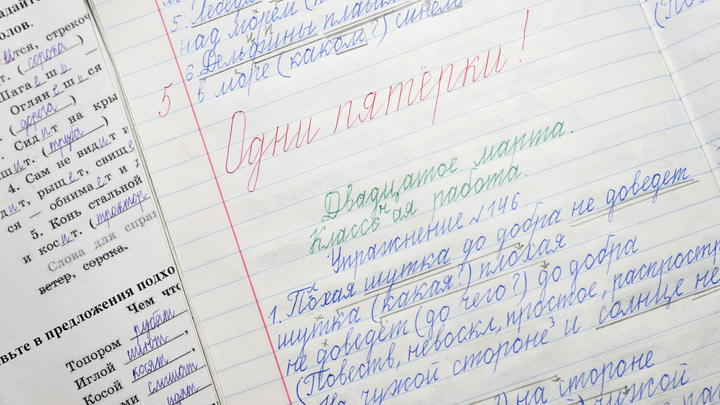 В Госдуму внесут законопроект о проверке знаний русского языка у детей мигрантов