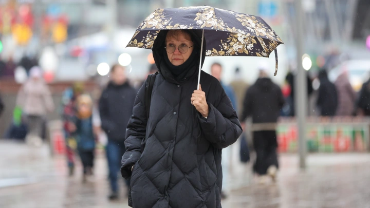 Зима в России странная. Биолог признал: Что-то случилось с природой