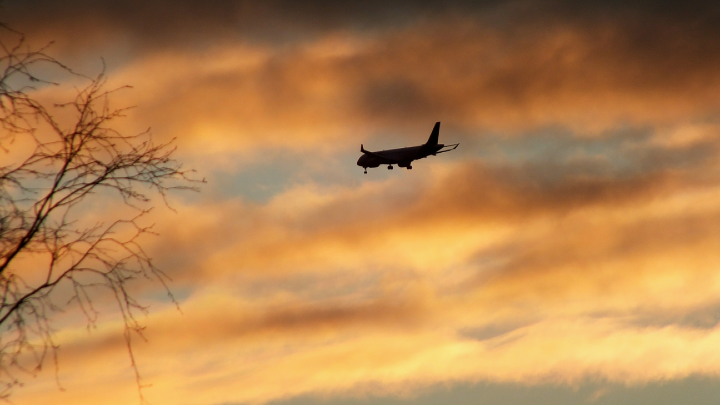 Аэропорты юга и центра России готовятся к открытию: сотрудников вызывают с отпусков