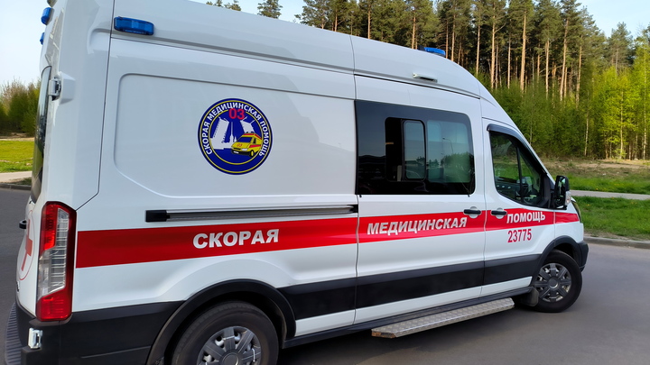 Семилетняя девочка попала под колёса автомобиля во дворе на юге Петербурга
