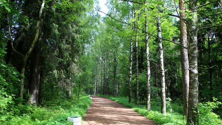 Какой праздник 15 июля 2023 года: традиции и приметы