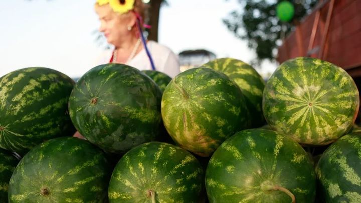 В Москве появится круглогодичная ярмарка кубанских продуктов