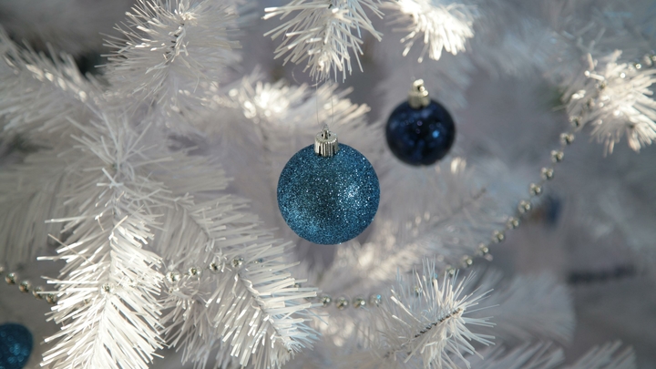 В России четыре процента граждан будут держать новогоднюю ёлку до лета - опрос