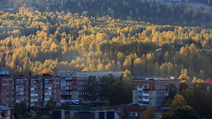 В деле об исчезновении семьи Усольцевых появилась версия о нападении змей