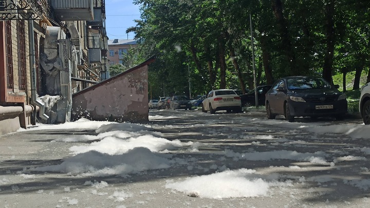 Мэр Челябинска нашла способ уменьшить количество тополиного пуха на улицах