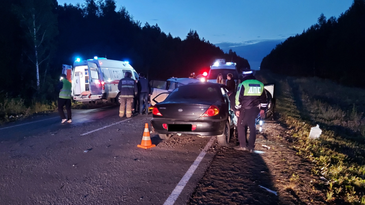 В Свердловской области иномарка сбила лося