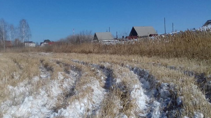 В Кургане до тепла скосят камыш в 8 микрорайонах
