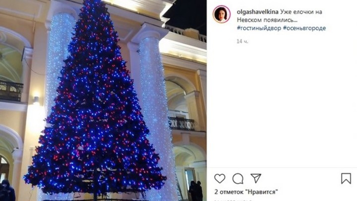 На Невском проспекте установили новогоднюю неоновую елку