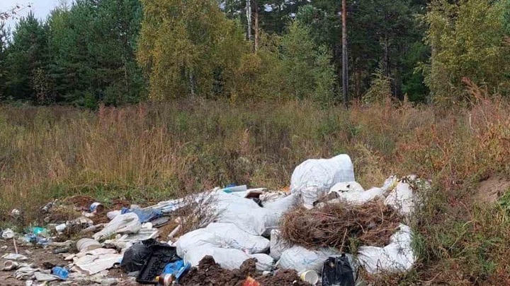 Жители Молоковки замусорили зелёную зону в пригороде Читы