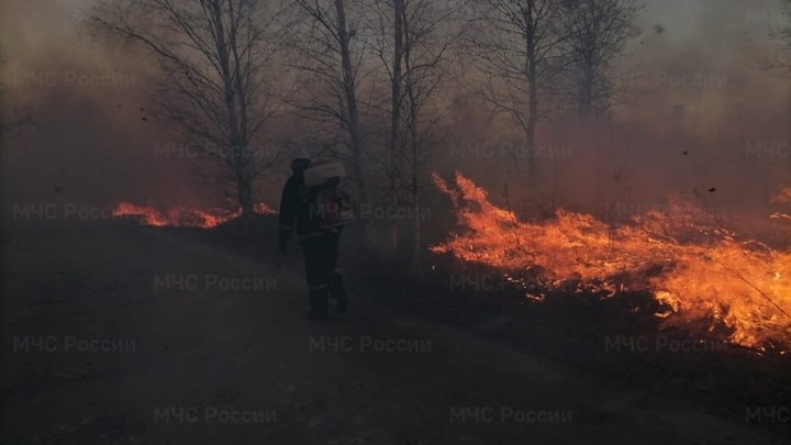 Из-за пала сухой травы во Владимирской области чуть не сгорела целая деревня