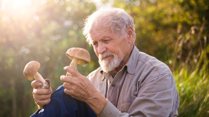 Диетолог Иванникова предостерегла пожилых людей от употребления грибных блюд