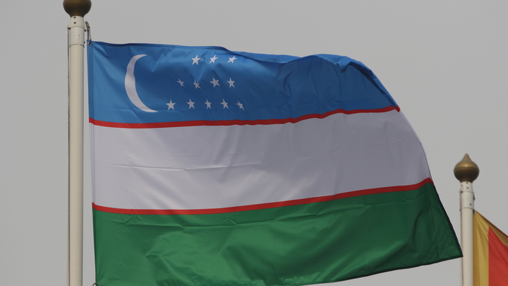 В Узбекистане объяснили свой отказ присоединиться к газовому союзу с Россией