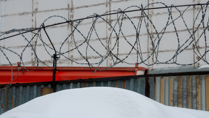 Приговор хулиганам, снявшим скальп с прохожего, могут изменить