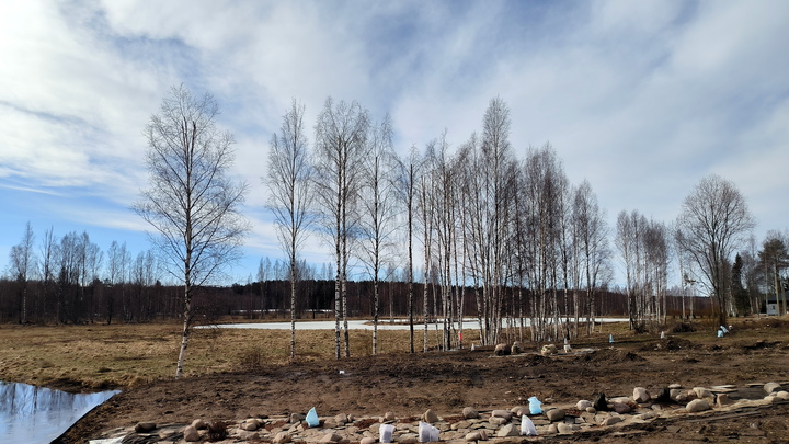 Метеоролог раскрыл, где в ближайшие дни будет теплее всего на Среднем Урале