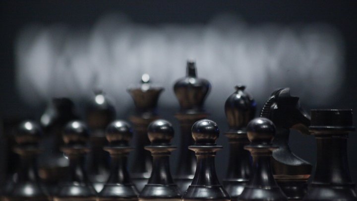 Неожиданный поворот: Украинские шахматистки не поддержали петицию против России