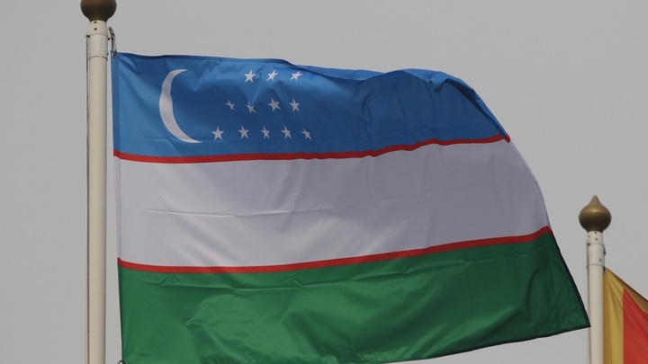 Узбекистан отказался от газового союза с Россией и Казахстаном