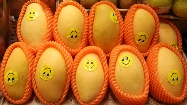 Мигранты притворились дынями, чтобы попасть в Россию: Полиция вскрыла хитрость в Саратовской области