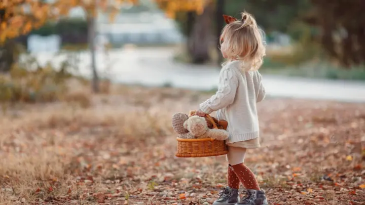 Стая бродячих псов искусала 3-летнюю девочку, ушедшую из детского сада