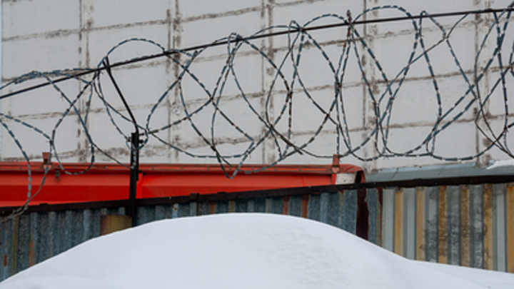 СК сомневается в том, что Минобороны контролирует некоторые вооруженные формирования в зоне СВО