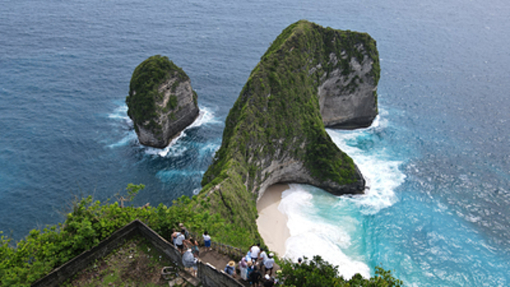 С Бали высылают туристку из России: 40-летняя женщина оголилась у дерева