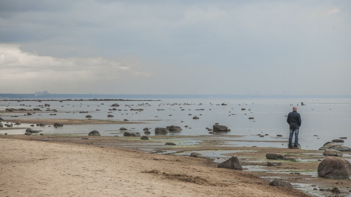 Жуткий улов: рыбак вытащил из Финского залива завёрнутый в одеяло труп