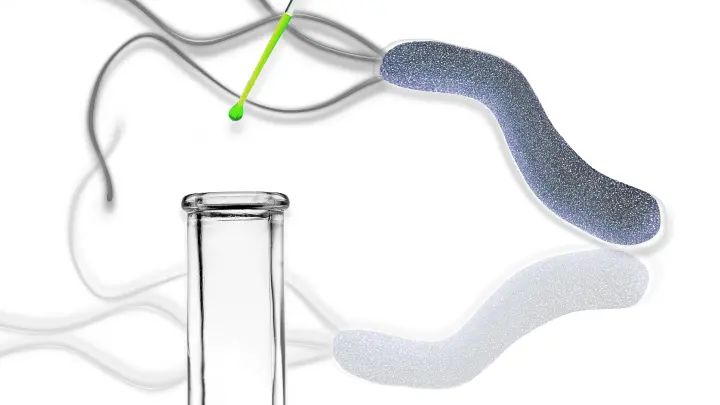 Гастроэнтеролог объяснил опасность Helicobacter pylori: однажды приведёт к раку