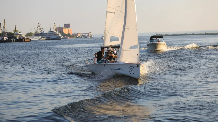Три причины, почему косатки потопили лодку семьи с детьми в ужасной атаке