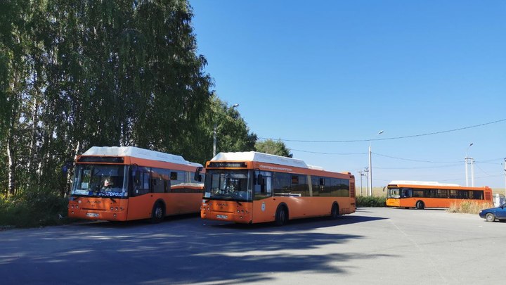 Автобусы-призраки замечены на нижегородских маршрутах