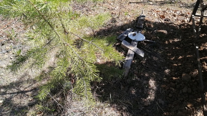 На берегу Шершней возле загородного поселка нашли заброшенное кладбище со свежей могилой