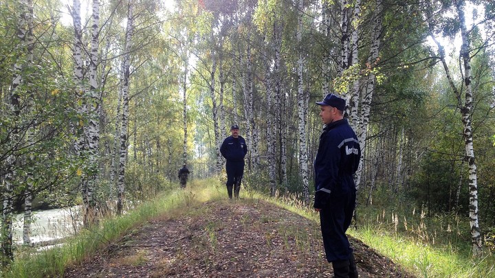 Подмосковные спасатели нашли потерявшегося мальчика