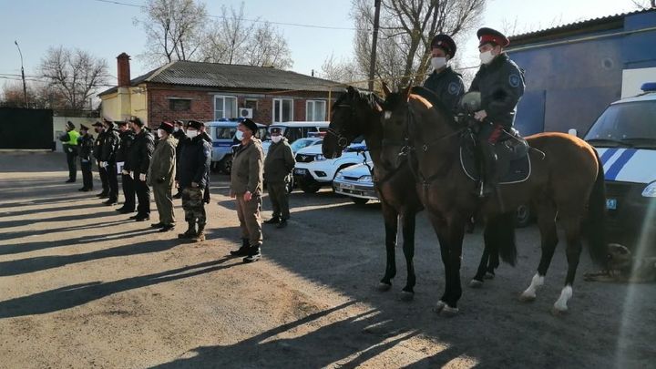 Служить готовы, но не за гроши: Донские казаки хотят встать вровень с силовиками